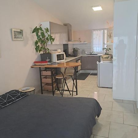 Chez Sabine Et Pascal Apartment Meyzieu Ngoại thất bức ảnh