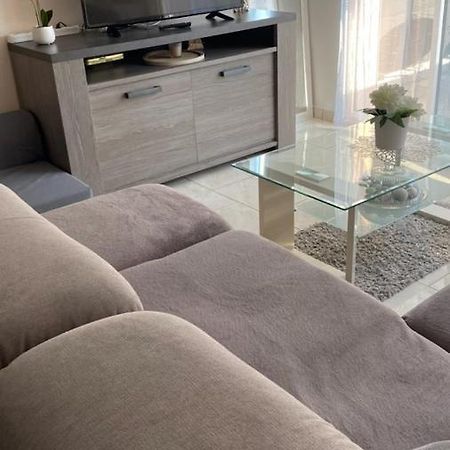 Chez Sabine Et Pascal Apartment Meyzieu Ngoại thất bức ảnh