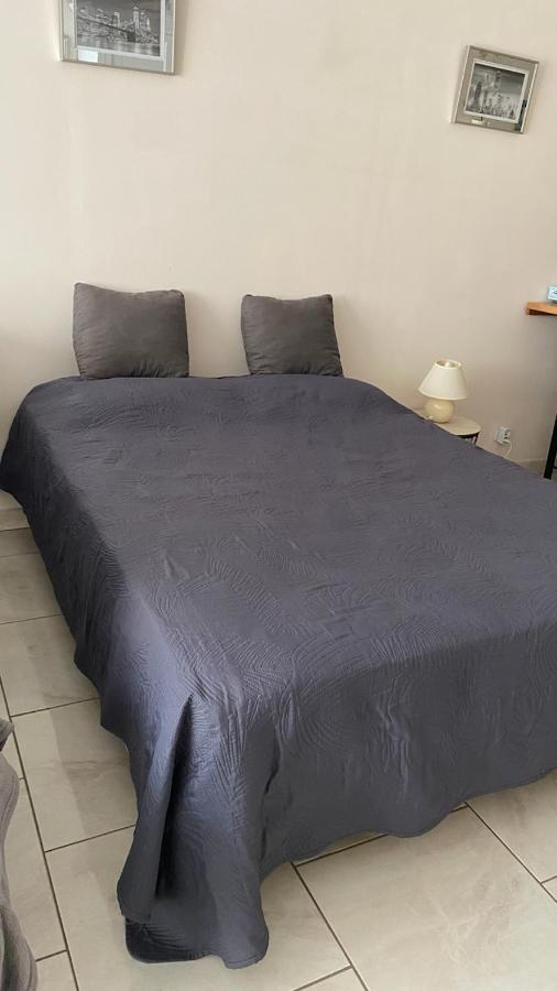 Chez Sabine Et Pascal Apartment Meyzieu Ngoại thất bức ảnh