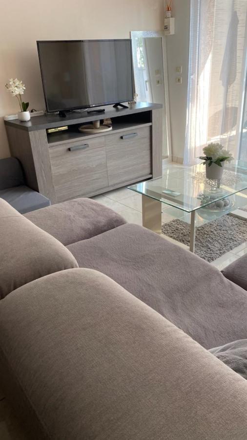 Chez Sabine Et Pascal Apartment Meyzieu Ngoại thất bức ảnh
