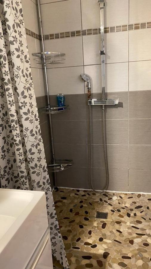 Chez Sabine Et Pascal Apartment Meyzieu Ngoại thất bức ảnh